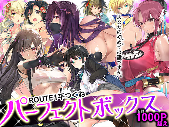 ROUTE1 平つくね パーフェクトボックス フル